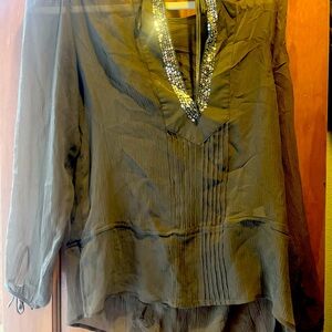 Fancy Sheer Blouse w/sequence.